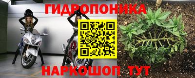 PSILOCYBIN Ликино-Дулёво