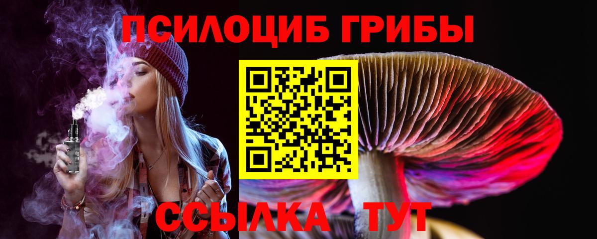 купить наркотики сайты  Вход с VPN  Вятские Поляны  Псилоцибиновые грибы GOLDEN TEACHER 